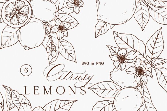 Download Lemon Fruits Line Art Clipart SVG - Lime - Lemon Collection