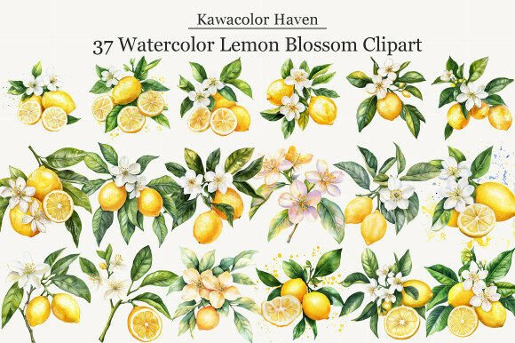 Download Watercolor Lemon Blossom Clipart - Lemon Collection